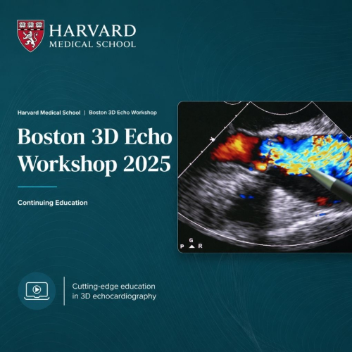 Harvard Boston 3D Echo Workshop 2025