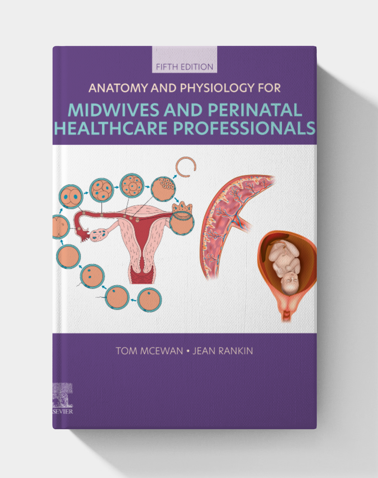 Anatomy and Physiology for Midwives and Perinatal Healthcare Professionals (5th edition)