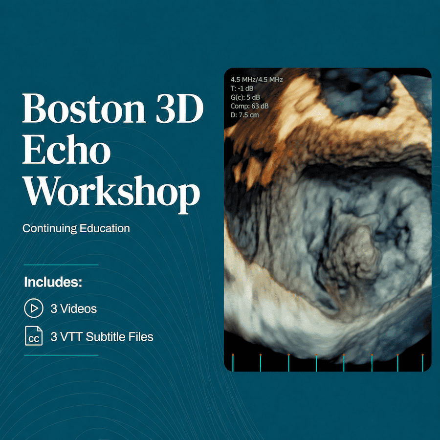 Harvard Boston 3D Echo Workshop 2026