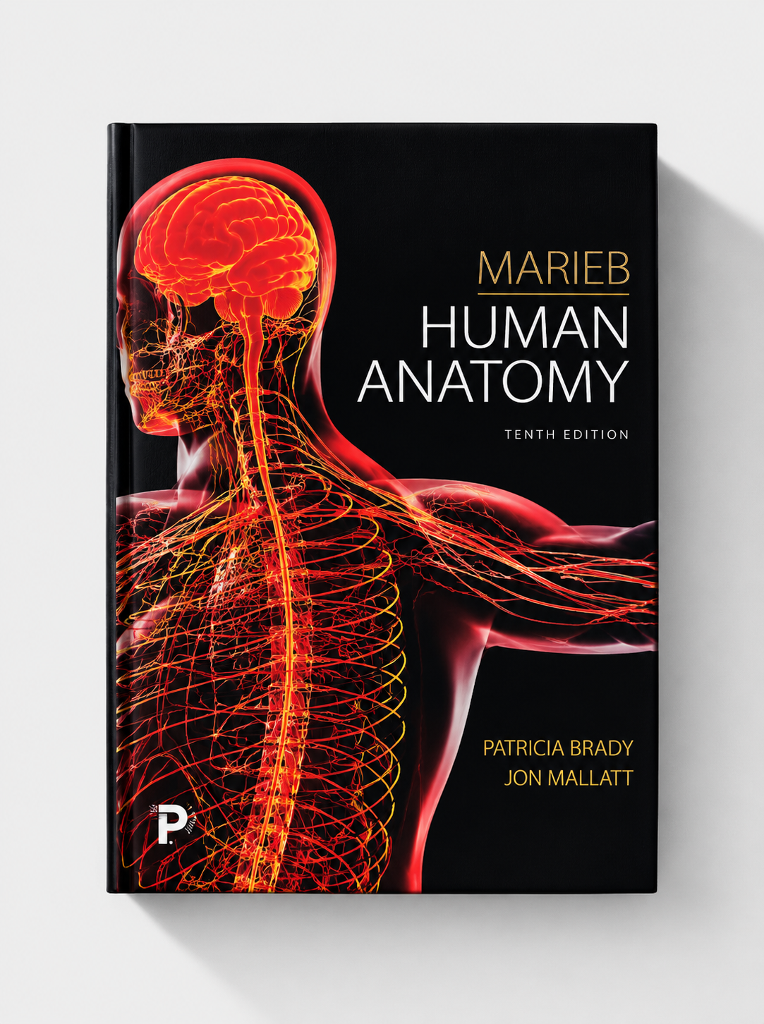 Marieb Human Anatomy (10th edition)